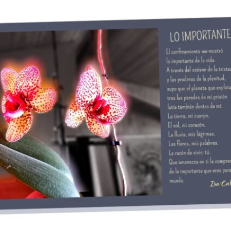 DOCUMENTO ABRAZA CON LAS PALABRAS